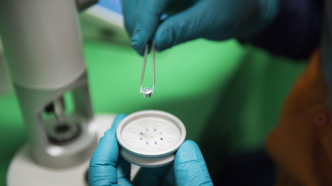 Lab Testing